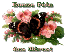 bonne fête  maman papillon